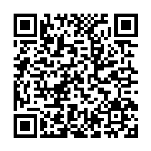 林锐和其余几个小队成员隐伏在训练场的遮蔽物后面二维码生成