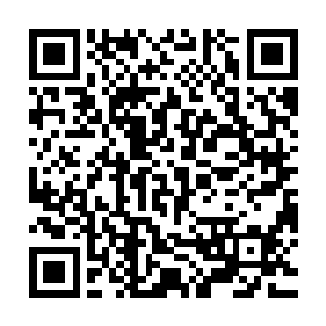 林锐和将岸用了一上午的时间来完成和安莫尔政府军的防线交接二维码生成