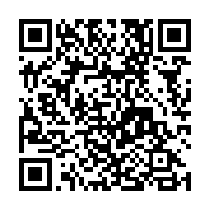 林锐和桑德罗背对背举枪向两栋小楼里跑出来的人扫射二维码生成