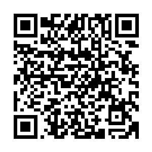 林锐和非盟的观察员终于见到了卡纳维亚解放军的主要领导人二维码生成