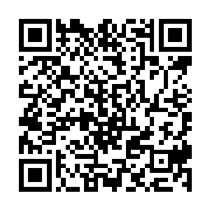 林锐带领着o2小队在对方的人海战术之中苦苦支撑二维码生成