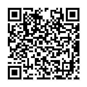 林锐当然也知道这些武装游击队的德行是怎么回事二维码生成