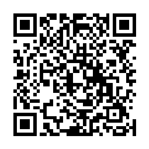 林锐的鼻子有点受不了血腥和已经开始发出异味的尸体味道二维码生成