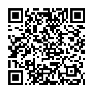 林锐等人最后几乎是从死人堆里杀出了一条生路二维码生成