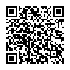 林锦楼说让她拿柜里两锭宫里赏的药材给王氏送过去二维码生成