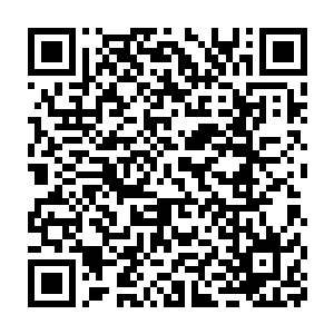 林雨馨在柳逸尘的身上切切实实的验证了引狼入室这个成语的含义二维码生成
