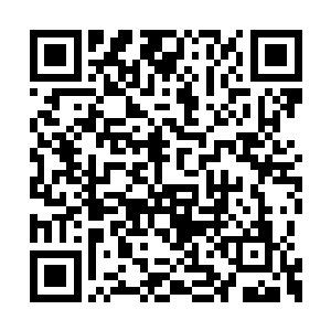 林青珊想要吞噬提升至神灵体的可能性几乎为零二维码生成