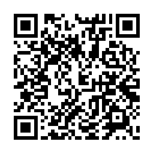 林音三人其实心里也都一直很好奇夏云杰的职业二维码生成