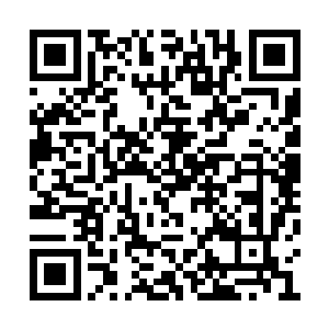 林飞夜此时已经完全把自己放在了弟子的身份上二维码生成