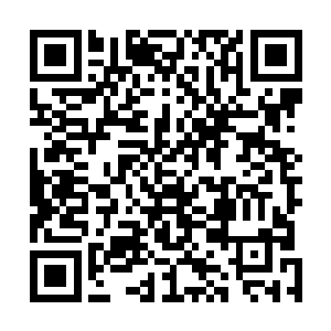 林飞夜的眼前浮现出那个和自己躲在妹妹屋子里面的女孩二维码生成