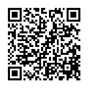 林鹊已看到了跟在印楼兰身后的封不觉和絮怀殇二维码生成