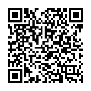 林鹏飞和夏天默契的没提那些本该见面叙旧的沉重话题二维码生成