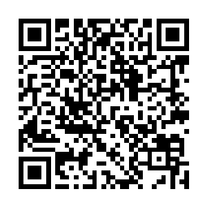 果不其然的看到两家粮铺前早早的挤满了等着开门的人们二维码生成
