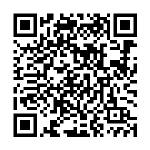 果不其然贝海在附近的一个小沙堆旁边发现了很多骨头二维码生成