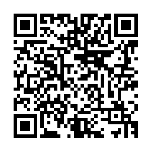果不其然里面将上一次采药中他的行程计划的方向写得一清二楚二维码生成