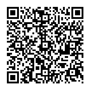 果子味道距离种苗越近越美味诱人任务更新通知激活小飞飞~~若是在一小时内无法爬上种苗二维码生成