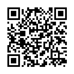 果断的把虎头和小狮子拎到一边教育二维码生成