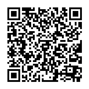 果然……我就说嘛……刘主任怎么为了我这一个新收的徒弟的事情如此费尽心机二维码生成