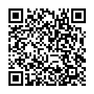 果然发现十几个弟兄们正在浅水区不断的寻找赵长枪二维码生成