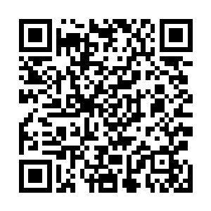 果然听到两个小孩子对着他们秀声秀气地说着自己的名字二维码生成