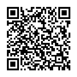果然和之前天道临所召唤出来的天神武装差不多二维码生成