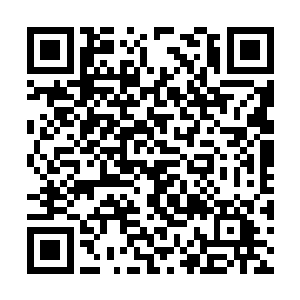 果然在一大早红莲阁追捕明教中人的消息传出以后二维码生成