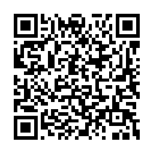 果然在其中的302房间找到了其中一名逃走的杀手二维码生成