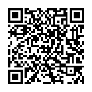 果然大家嘴上说不喜欢心里还是喜欢装逼打脸踩人二维码生成