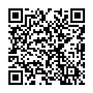 果然就看到了郑姨床前正坐着一个清丽脱俗的女子二维码生成