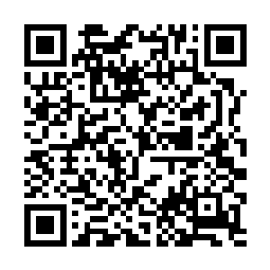 果然很快就看到了一扇石门石门之上布设着重重禁制二维码生成