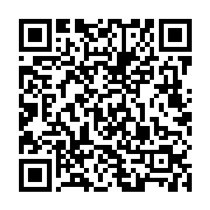 果然接下来几组绛朱丹的价位都在五十万下品灵石之下二维码生成