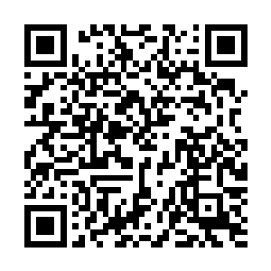 果然有十几位穿着绿色迷彩服的扛枪战士把门口给封锁住了二维码生成