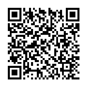 果然杨洛突然拿出枪放到刚刚清醒过来的贺森手里二维码生成