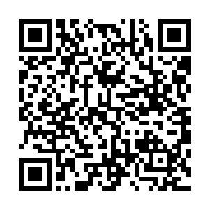 果然林母一听到萧霓裳拿出了背后萧家的这些资源和势力来二维码生成