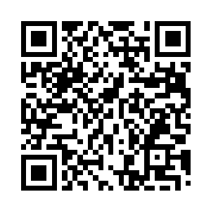 果然此时那朵虚无之花的花蕾不见了二维码生成