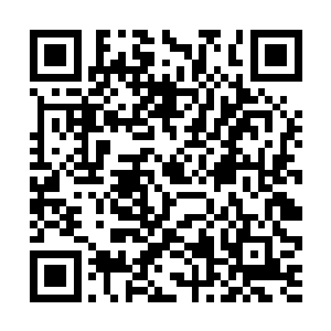 果然看到一身风尘的某人站在花园门口含笑望着自己二维码生成