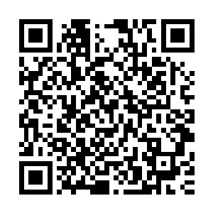 果然看到了一袭白裙的莫紫嫣正好整以暇地站在第十号暗阁前二维码生成