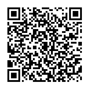 果然看到土黄色晶体朝着位于小世界中央的那棵小树径直飞了过去二维码生成