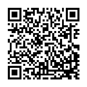 果然看见了一个杀猪的人摆了一个猪肉摊子在路口卖猪头肉二维码生成