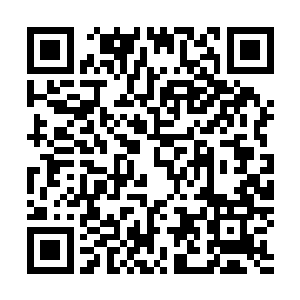 果然离部落大门口几十米的地方正站着三条体型雄壮的雪狼二维码生成