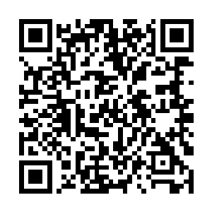 果然能够感觉到里面蕴藏着澎湃的仙元力和一丝天道二维码生成