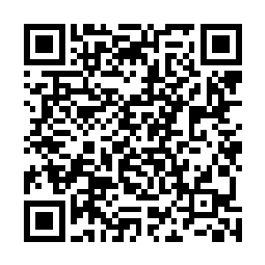 果然自己是没有什么好借口来让林诗语心甘情愿的住进来二维码生成