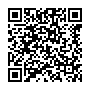 果然苗柔终于说出了她们苗家和叶家的这段孽缘来二维码生成