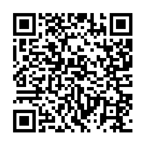 果然被他一下子戳穿了李耀和血色心魔虚有其表的真面目二维码生成