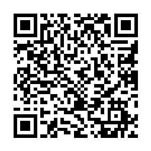 果然见到萧锦此时的修为已经达到了结丹期第一层的境界二维码生成