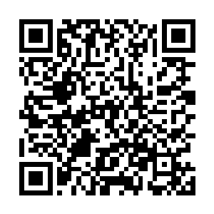 果然见那透明的液态元气当中沉浮着一块形如心脏的黑石二维码生成