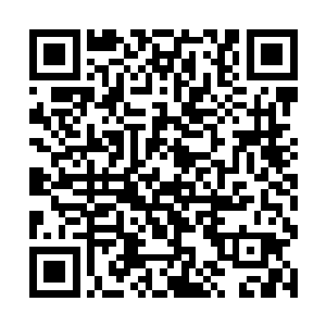 果然让他看到弥静用一个小旗找到了藏在原地的黑岩二维码生成