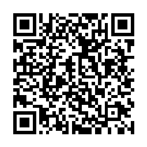果然这边的动静吸引了周围那些龙族和半龙族的注意二维码生成