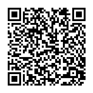 果然那田杏儿此时一双乌溜溜水汪汪的眼珠子一个劲地在夏云杰的身上打滚二维码生成