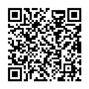 果然青色的道剑嗤一声就破空插在了阴间的陆地上二维码生成